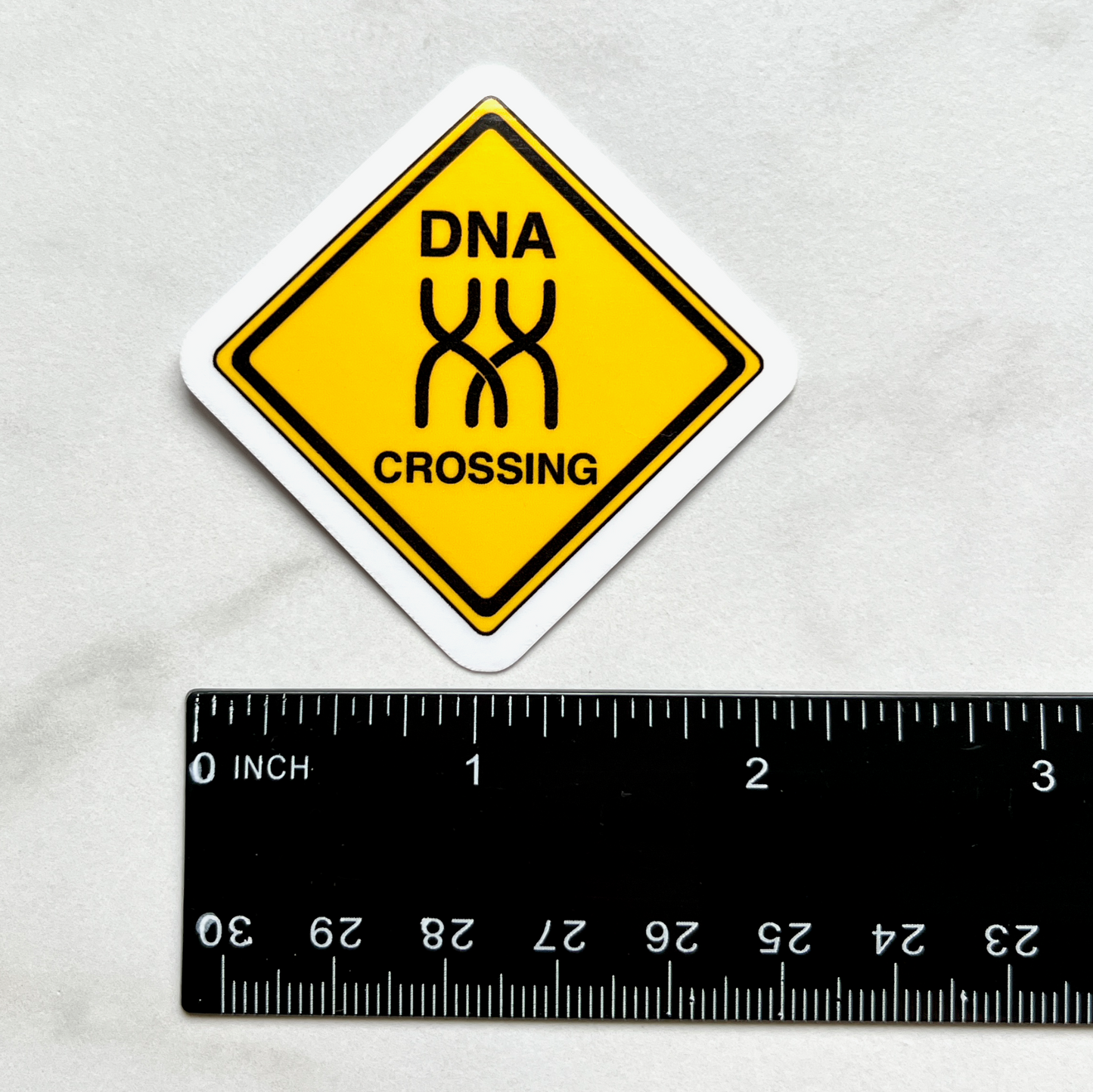 DNA Crossing Sticker