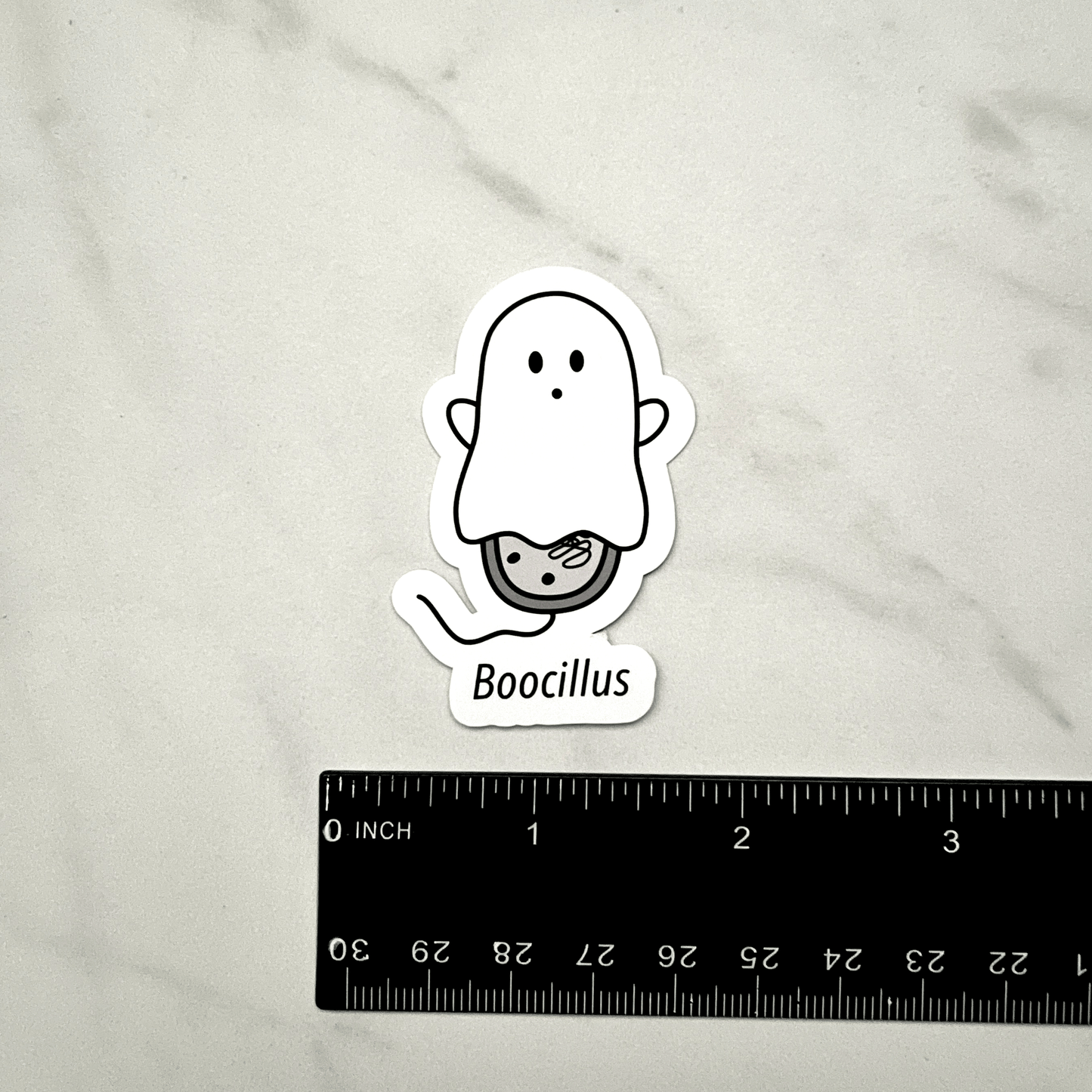 Boocillus Sticker