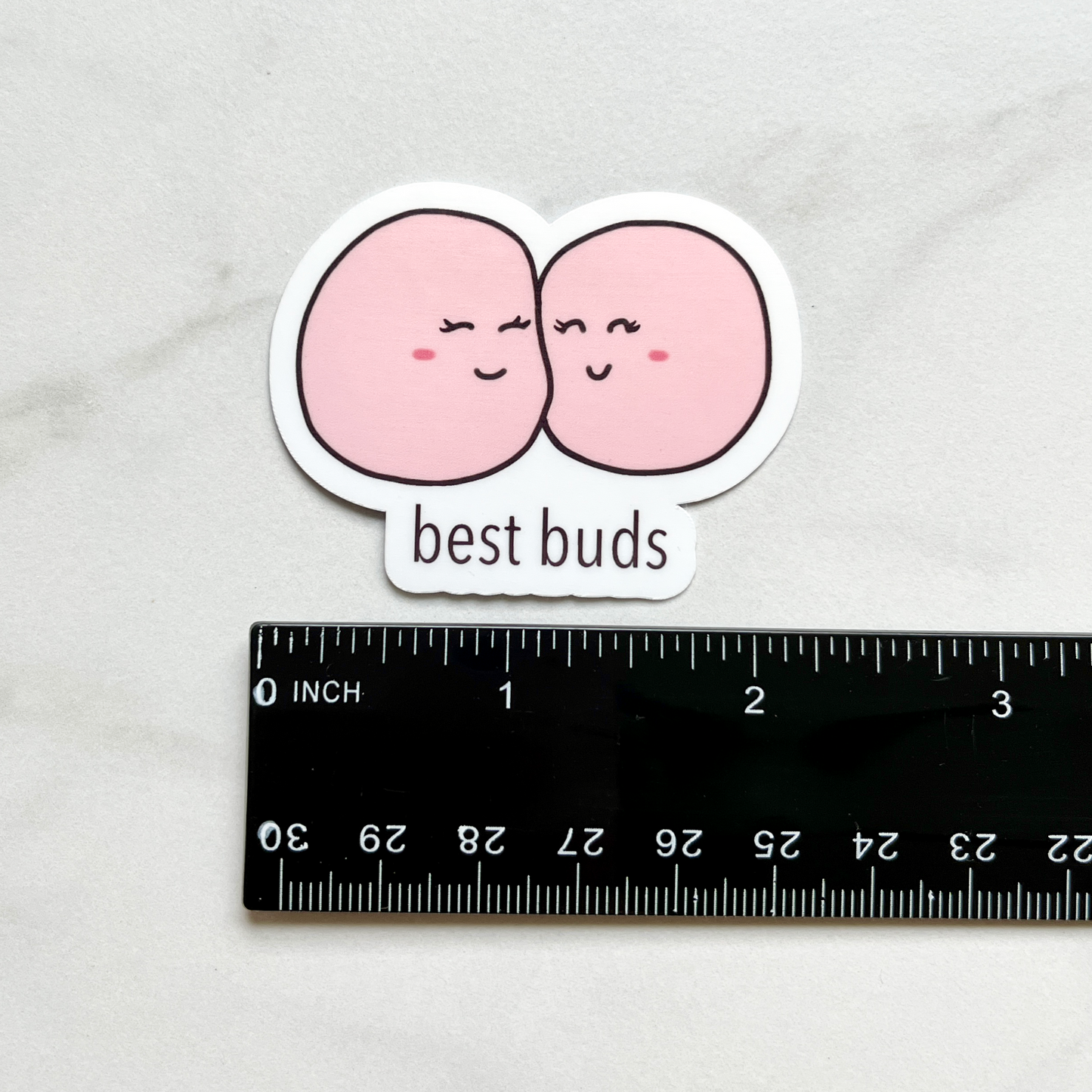 Best Buds Yeast Sticker measurement