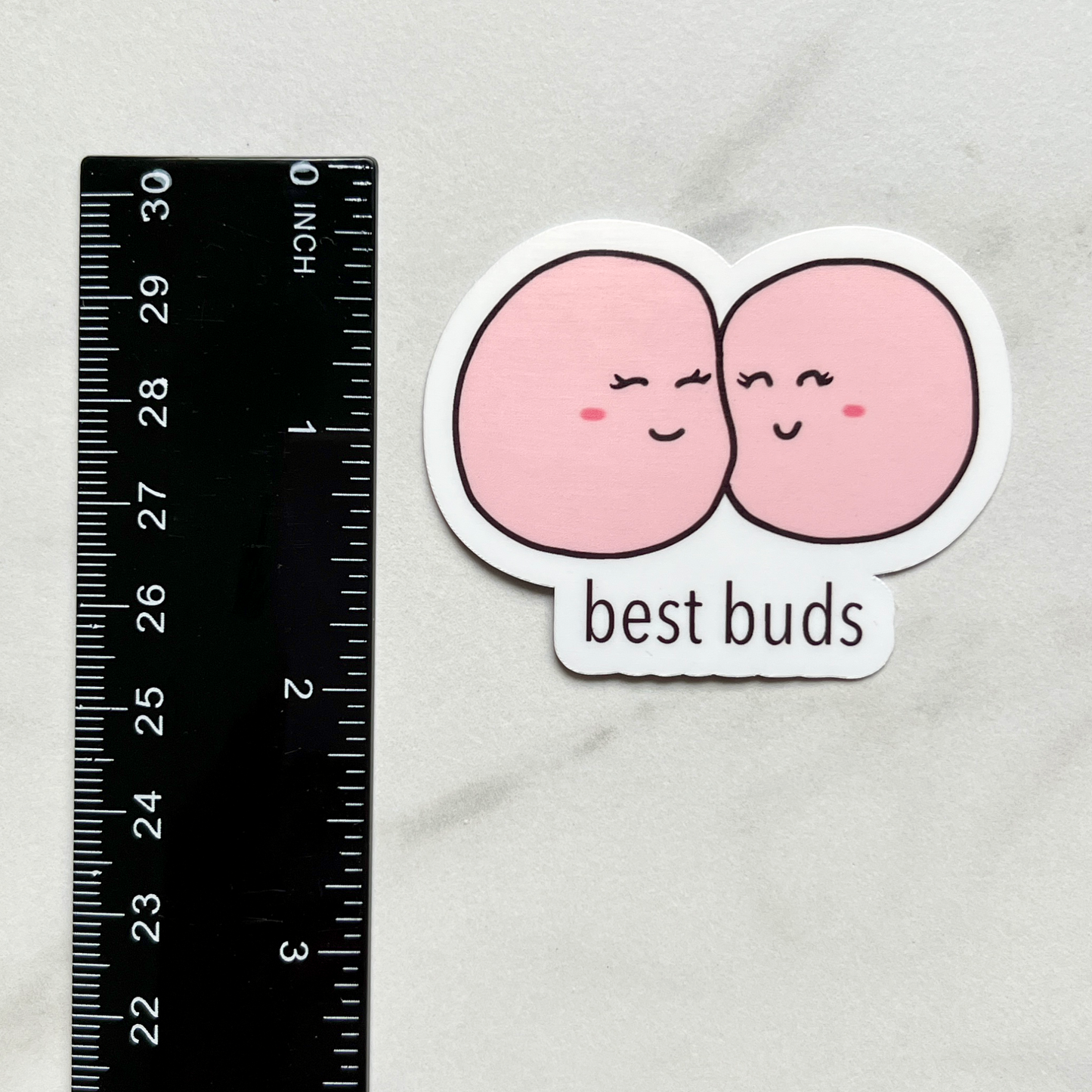 Best Buds Yeast Sticker measurement