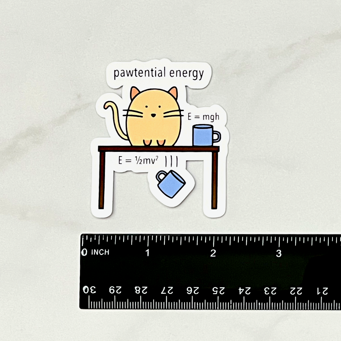 Physicist Cat Sticker
