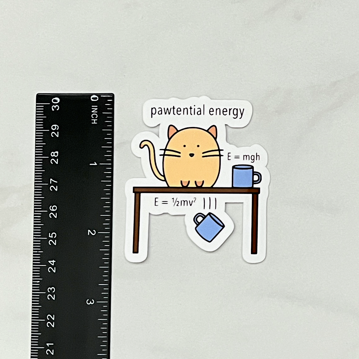 Physicist Cat Sticker