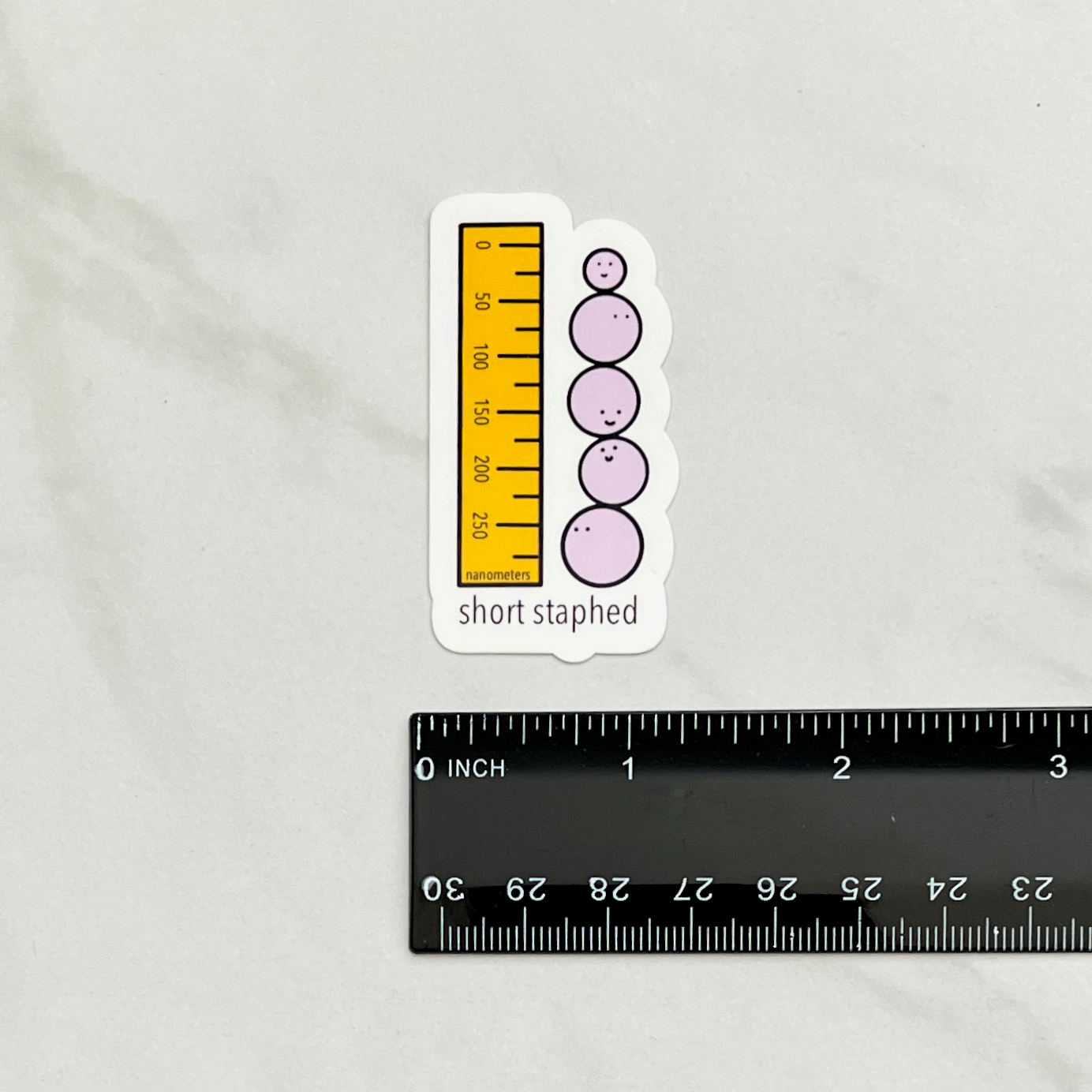 Short Staphed Sticker