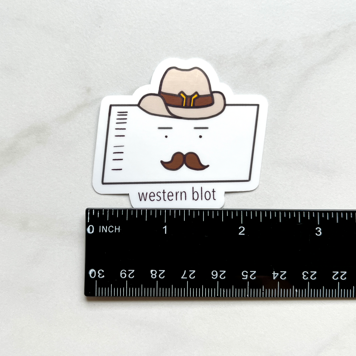 Western Blot Sticker