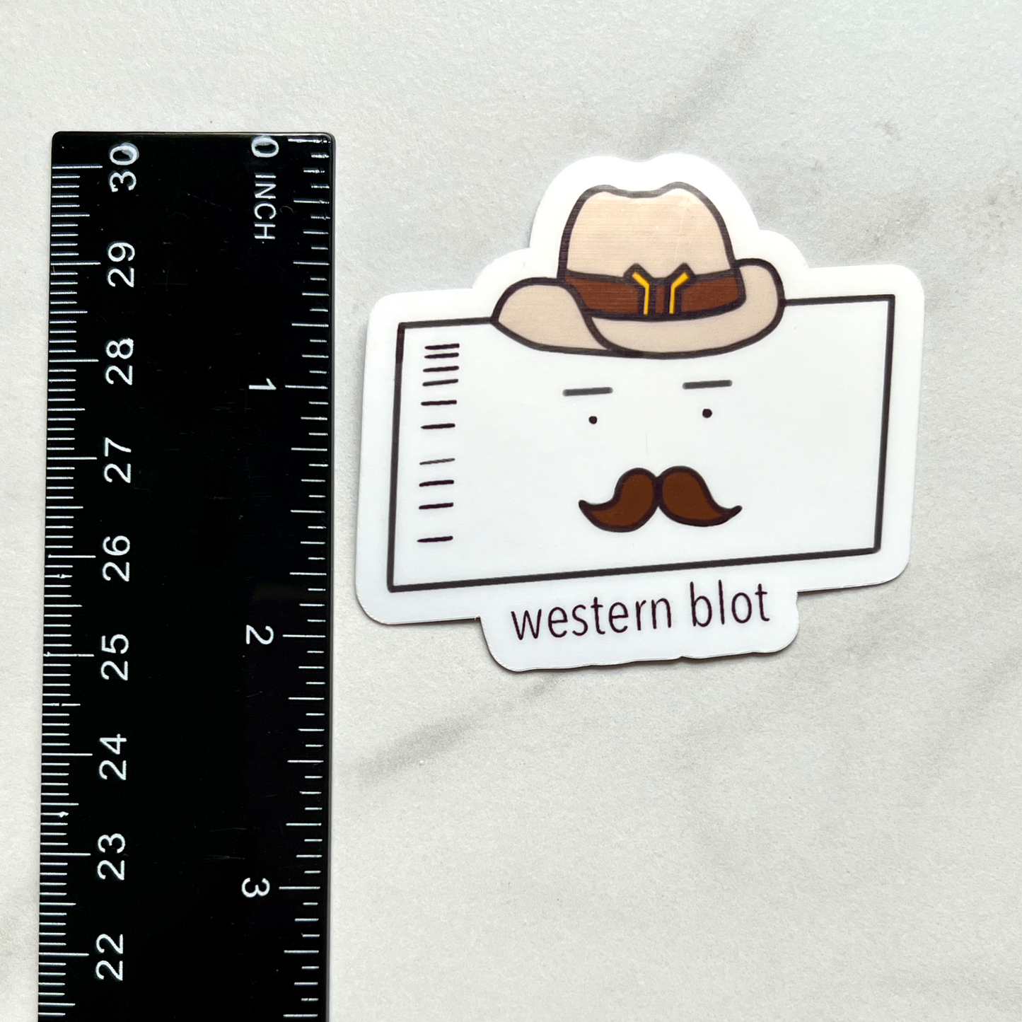 Western Blot Sticker