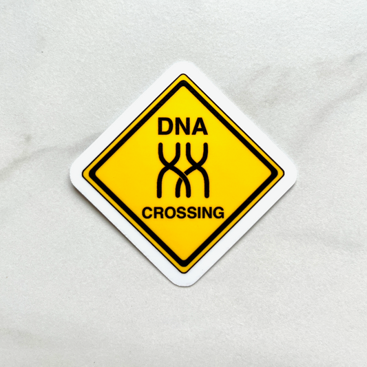 DNA Crossing Sticker