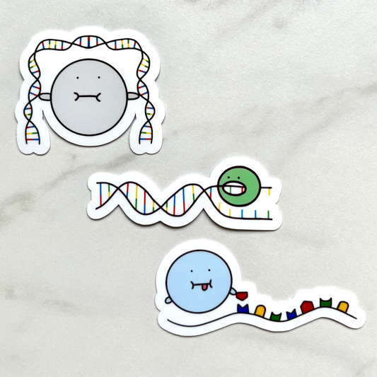 DNA Proteins Sticker Pack