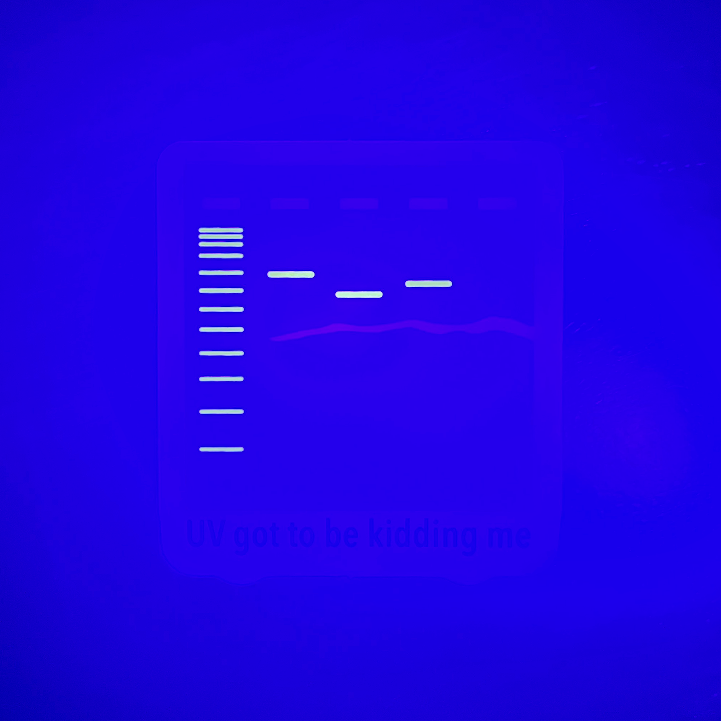 Invisible Ink UV Agarose Gel Sticker