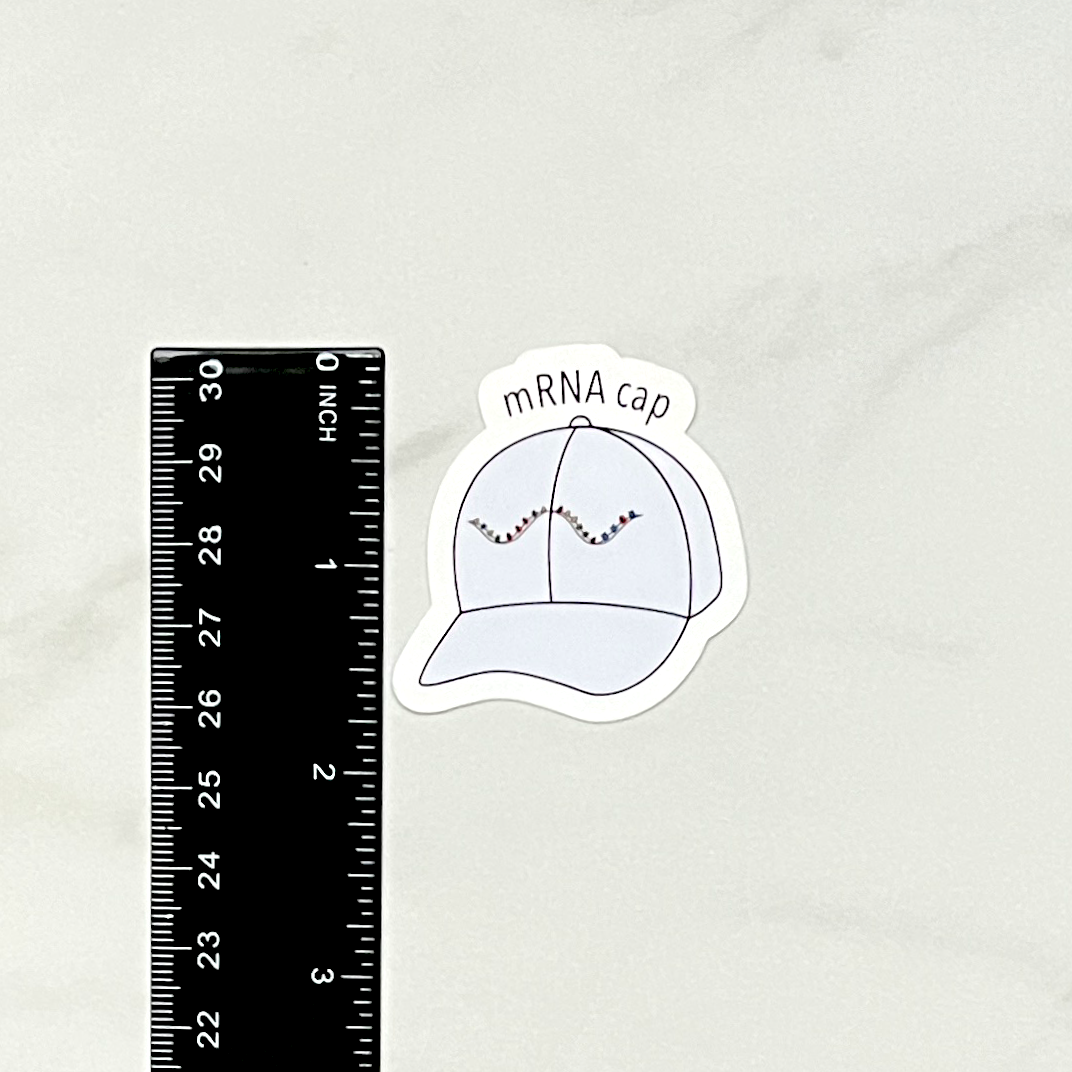 Mrna Sticker mRNA Cap Biology Sticker – Microbe Doodles