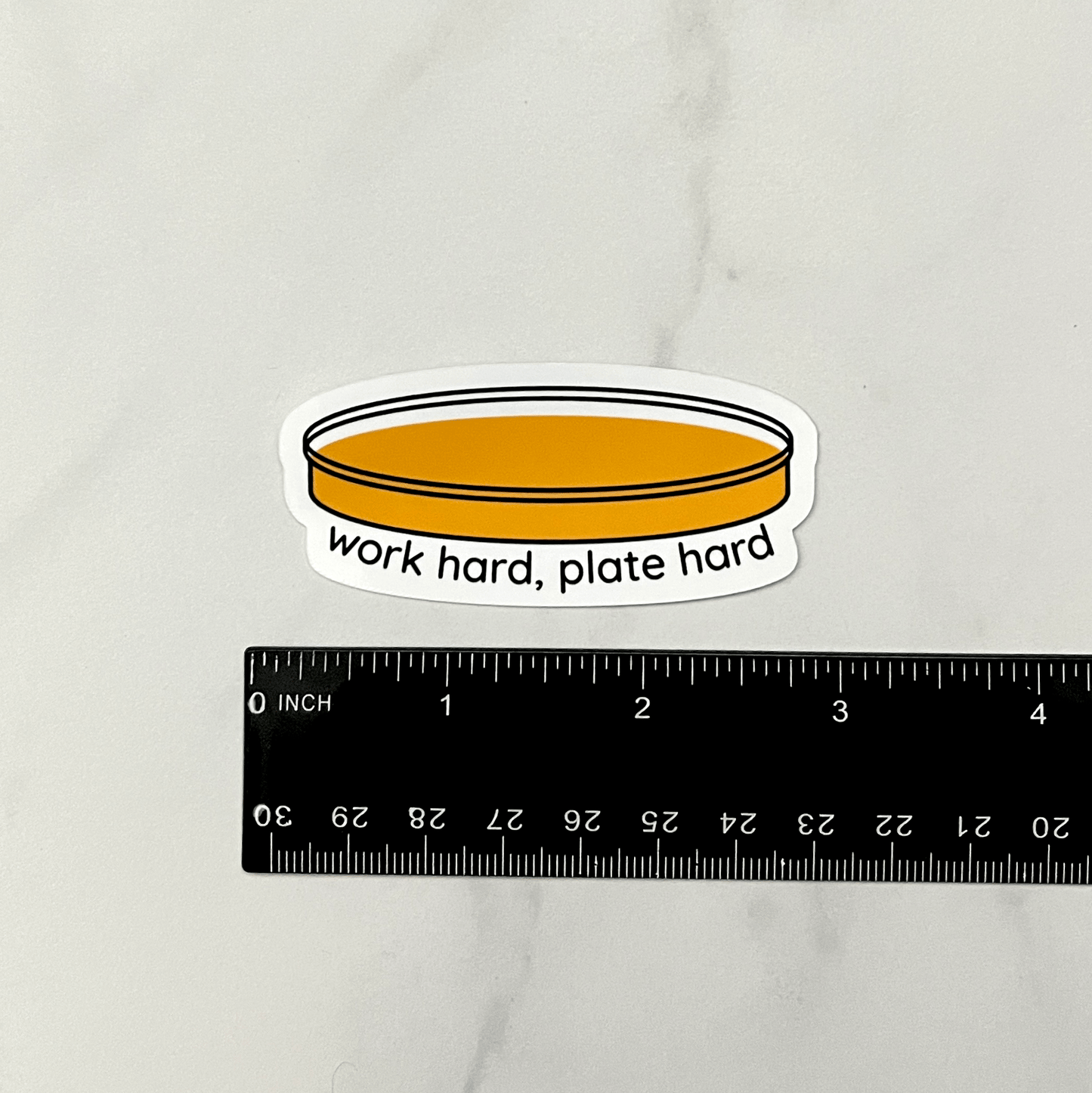 Plate Hard Sticker