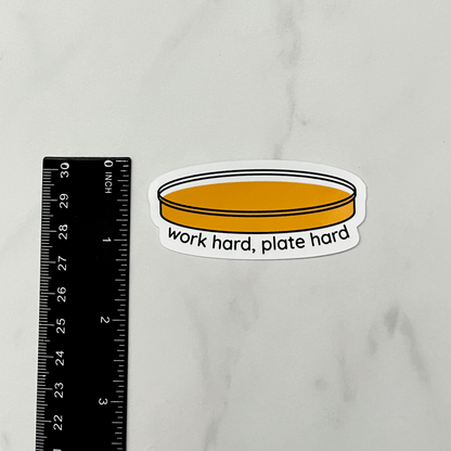 Plate Hard Sticker