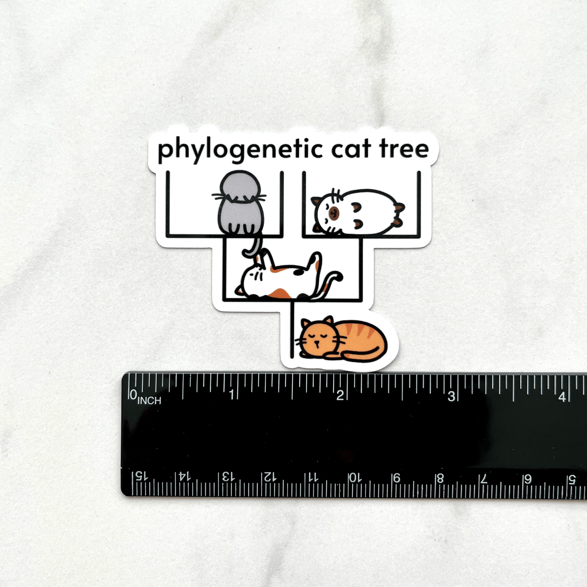 Phylogenetic Cat Tree Sticker