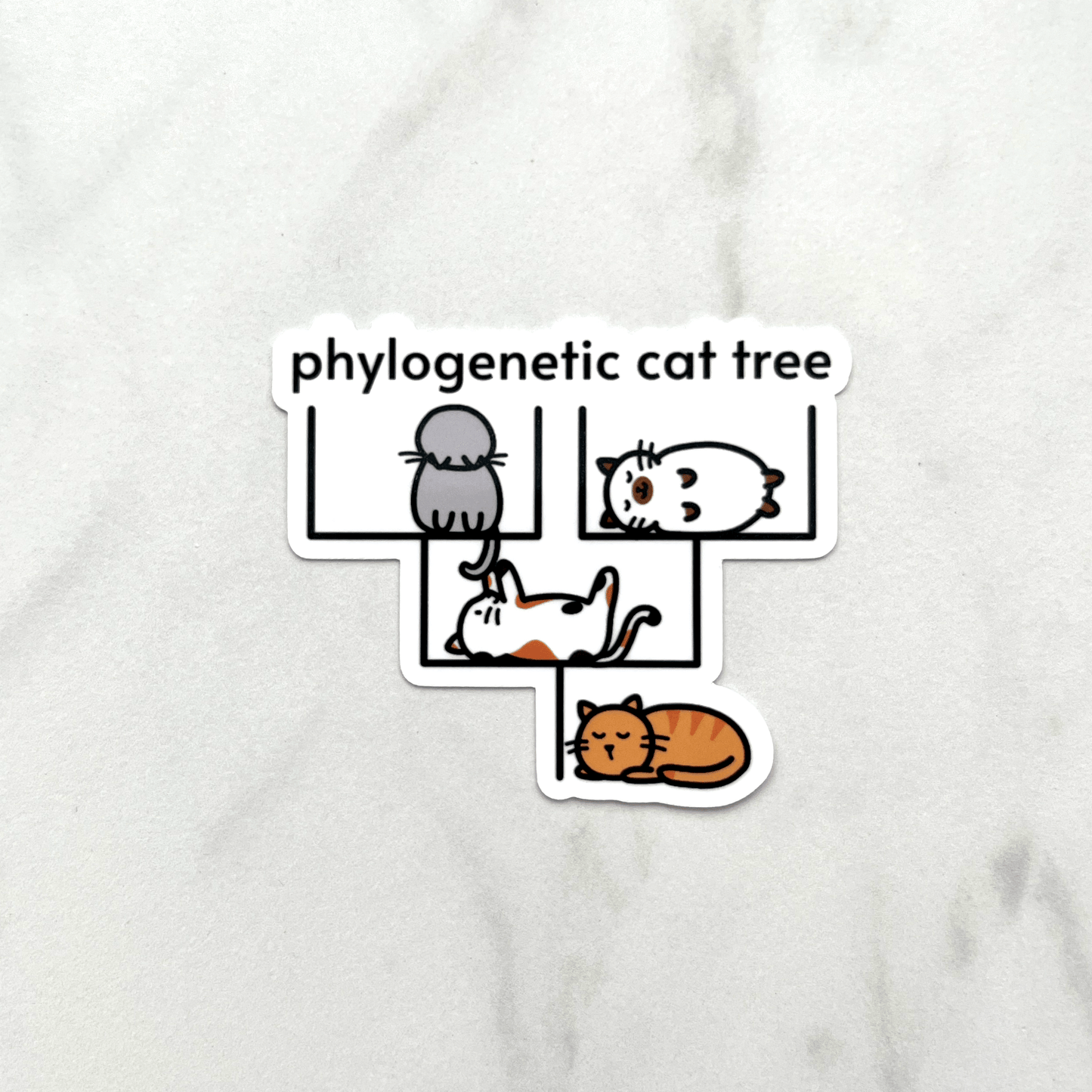 Phylogenetic Cat Tree Sticker