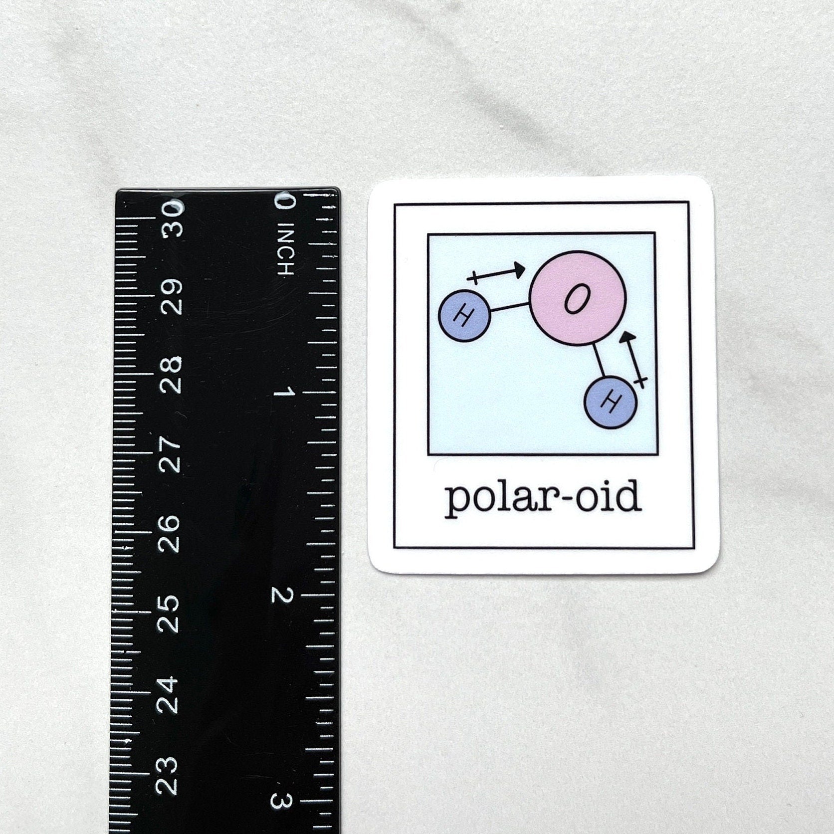 Polar Photo Sticker