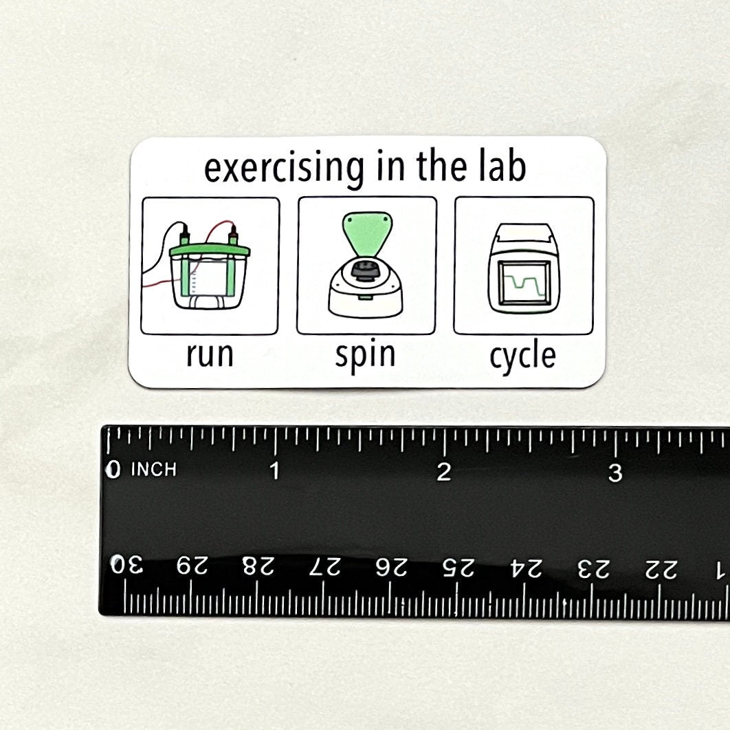 Lab Exercises Magnet