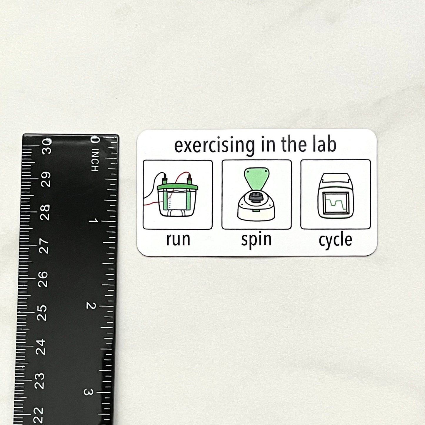 Lab Exercises Magnet