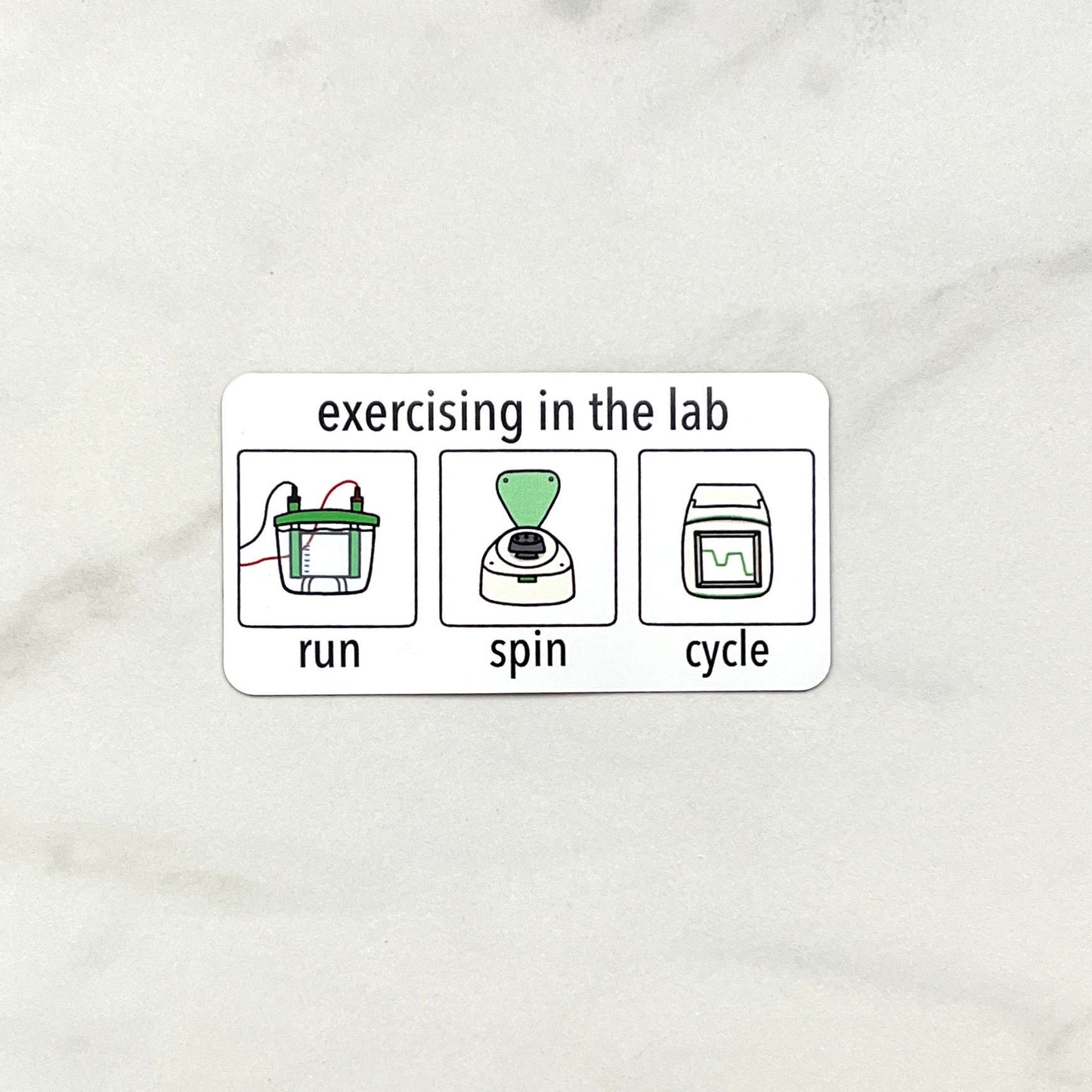 Lab Exercises Magnet