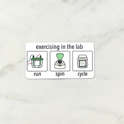 Lab Exercises Magnet